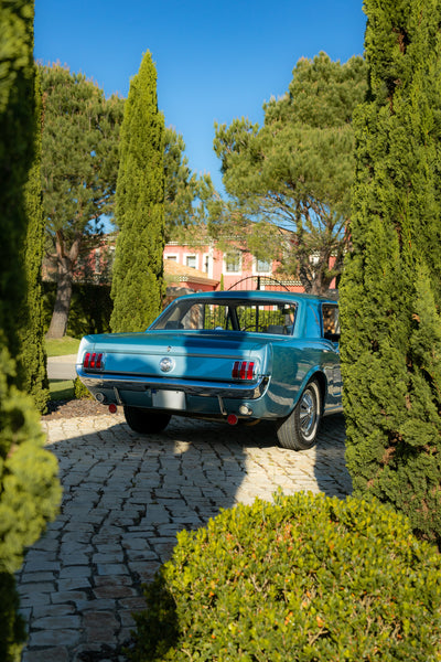 Ford Mustang para Casamentos, Filmes e Sessões Fotográficas – Algarve Portugal