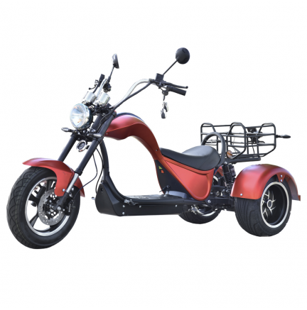 Mota Eléctrica Trike 3 Rodas Bateria